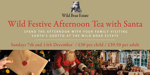 Wild Festive Afternoon Tea & Santa