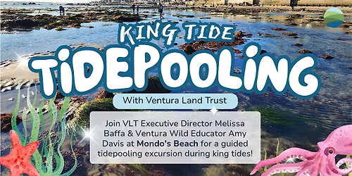 King Tide Tidepooling Excursion