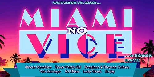 MIAMI - NO VICE