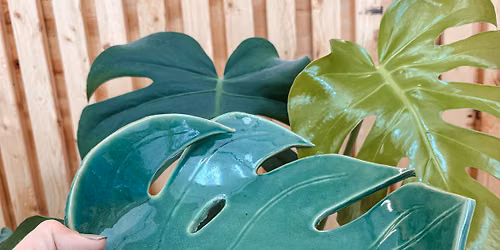 Monstera Leaf Bowl Class