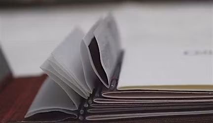 Pamphlets & Concertinas: Falling Book Structure