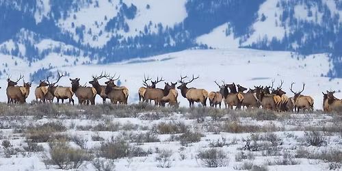 Western\/ PER Dinner