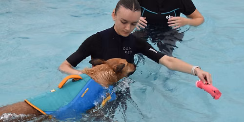 Practical Training Week - Level 3 Certificate in Canine Hydrotherapy