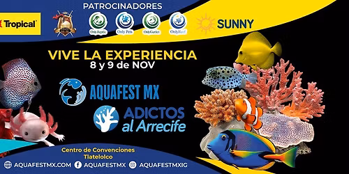 Aquafest MX 2025