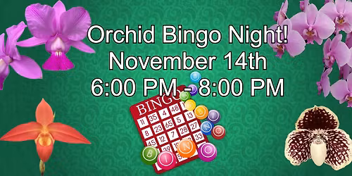 In-Person BINGO night!