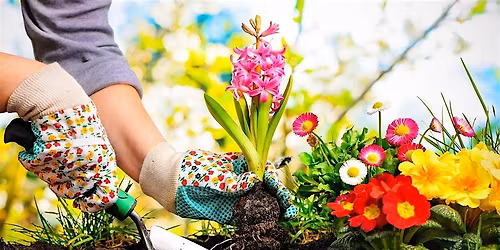 Gardening Discussion Group