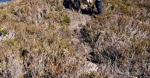 Guided Hill Walk : Stac Gorm by Loch Ruthven