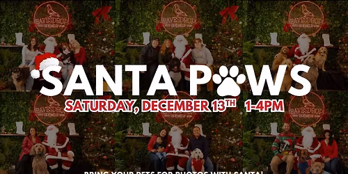 Santa Paws: Pet Photos with Santa! \ud83d\udc3e\ud83c\udf85