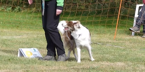 RO-Seminar mit Reimund Kopp