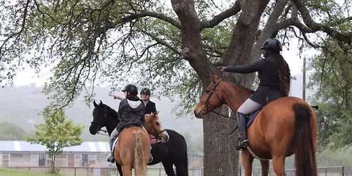 UDJC Foundation Redbird Sporthorses at Henly Hollow Farm