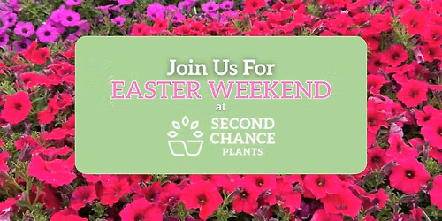 Easter Week at Second Chance Plants - Exton, PA