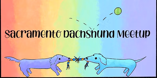 Sacramento\u2019s June Dachshund Meet Up