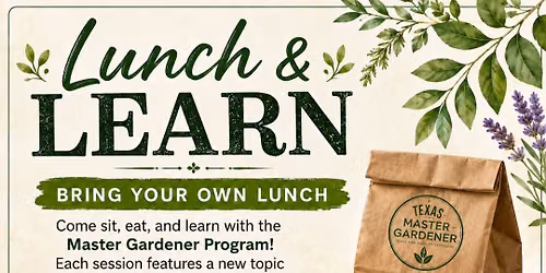 Lunch & Learn 
