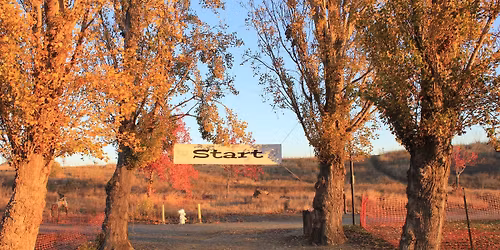 Benicia Hand Up Turkey Trot
