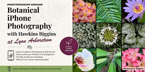 Botanical iPhone Photography at Lyon Arboretum