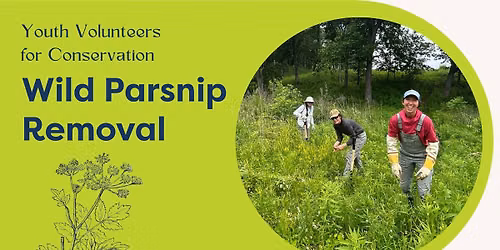 Youth Volunteers for Conservation (YV4C ) Wild Parsnip Removal