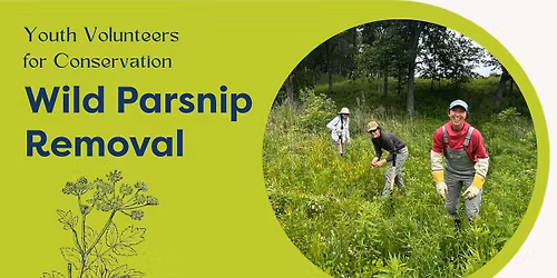 Youth Volunteers for Conservation (YV4C ) Wild Parsnip Removal