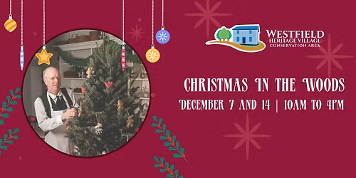 Christmas in the Woods \ud83c\udf84\u2744\ufe0f