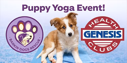 Puppy Yoga at Genesis North Overland Park 