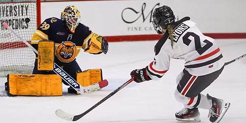 New Hampshire Wildcats at Brown Bears Womens Hockey