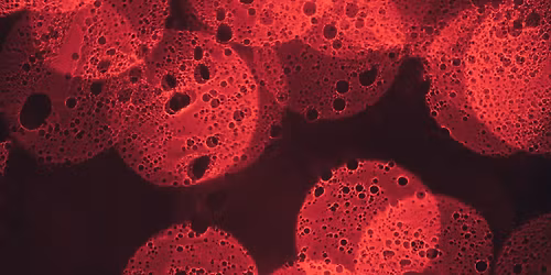 Science Myths and Misconceptions: The Truth Behind What We Thought We Knew