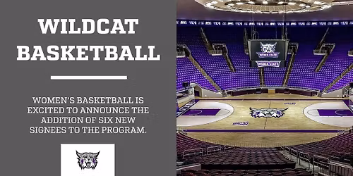 Montana State Bobcats at Weber State Wildcats Mens Basketball