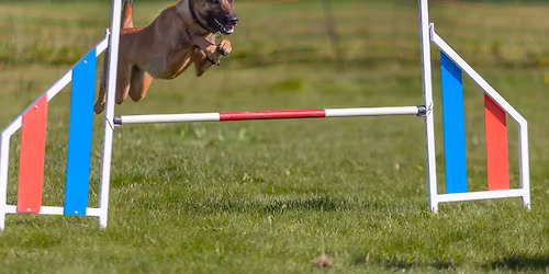 Gauldal HK - julistevnet 2026