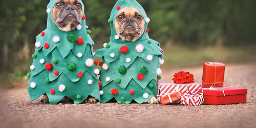 Winter CPE Trial- December 27th and 28th