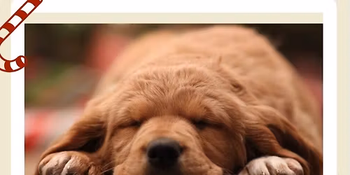 \ud83c\udf84 Doggy Breakfast With Santa \ud83c\udf84