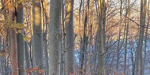 SI\u0141A UWA\u017bNO\u015aCI | PILATES & JOGA | MEDYTACJA & TANIEC | WARSZTAT WYJAZDOWY