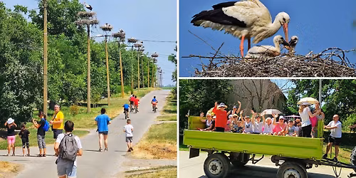 Tara\u0161 i bele rode \u2013 Ravni\u010darenje u evropskom selu roda