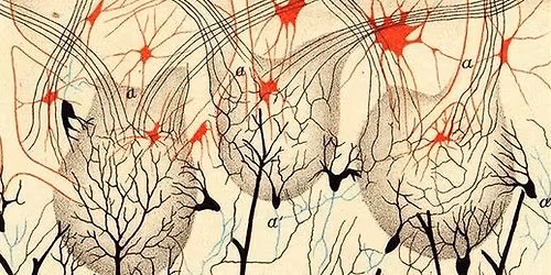 Buchpr\u00e4sentation_RHIZOMING 1: MENSCHEN MACHEN_Stefan Schweiger \/ Jordis Brook