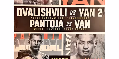 UFC at Buffalo Wild Wings