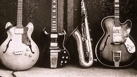 The Hamburg Blues Band