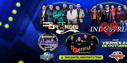 GRUPO BRYNDIS, INDUSTRIA DEL AMOR & MAS