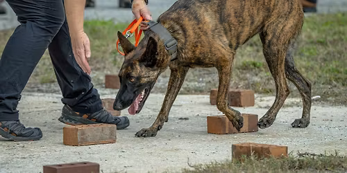 Human Remains Detection Seminar - January 2026