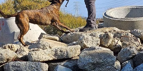 Intermediate Human Remains Detection Seminar - January 2026