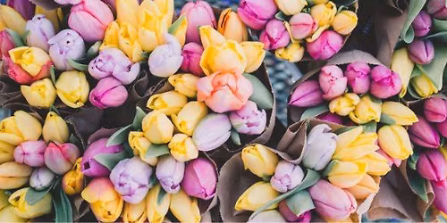 Women's Spring Luncheon