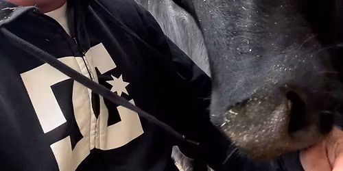 Celebration of Life for our One and Only Parker