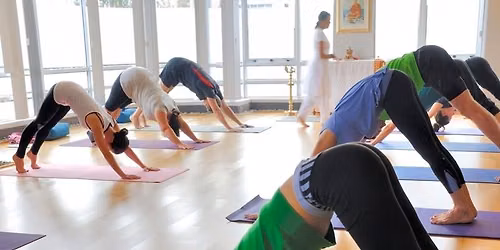 Yoga: 5 sessions 