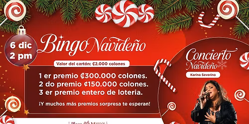 Bingo Navide\u00f1o\ud83c\udf84