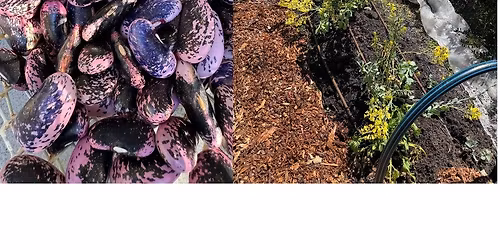 Upper Mountains Seed Saving & Gardening Group