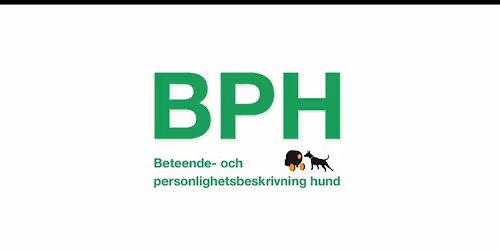 BPH - Varf\u00f6r d\u00e5?