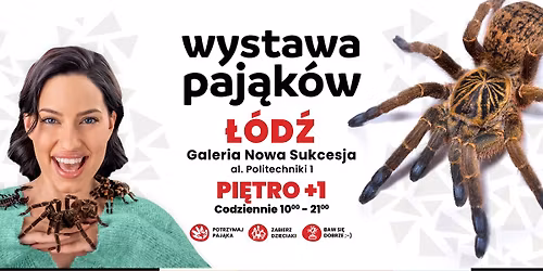 Wystawa Paj\u0105k\u00f3w \ud83d\udd77\ufe0f Nowa Sukcesja \u0141\u00f3d\u017a (07.11 - 28.02)