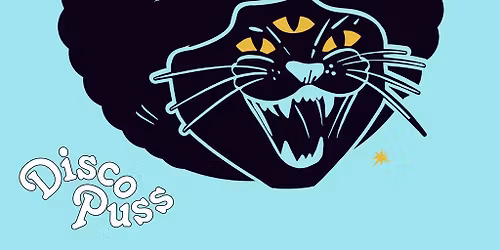 DISCO PUSS: TOUCH OF FUNK "All Night Long" - Bristol Debut