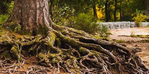 Et si on travaillait sur nos lign\u00e9es familiales ( atelier pratique) \/ 6 places dispos.