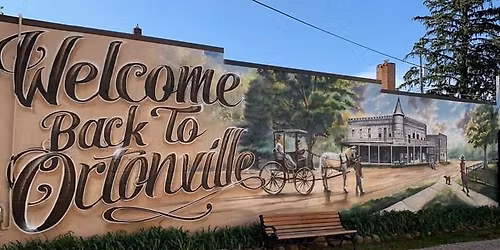 3rd Annual Furry Friends Festival!