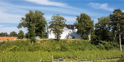 Vinmarkstur & frokost i Herskabsstalden