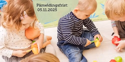 Tilrettelegging i barnehagen for barn med sterkt nedsatt syn eller blindhet del 2