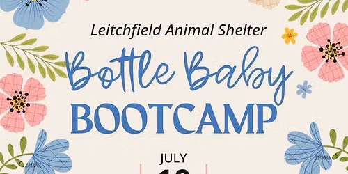 Bottle Baby Bootcamp!
